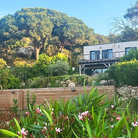 Avec Jardin Et Piscine