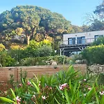 Avec Jardin Et Piscine