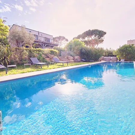 Avec Jardin Et Piscine * كالفي