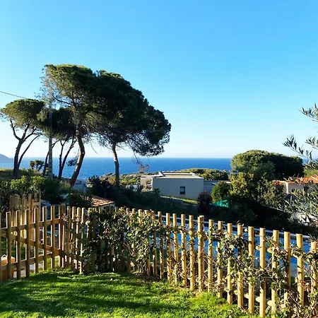 Avec Jardin Et Piscine * Calvi (Corsica)