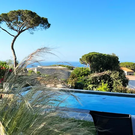 Avec Jardin Et Piscine * كالفي
