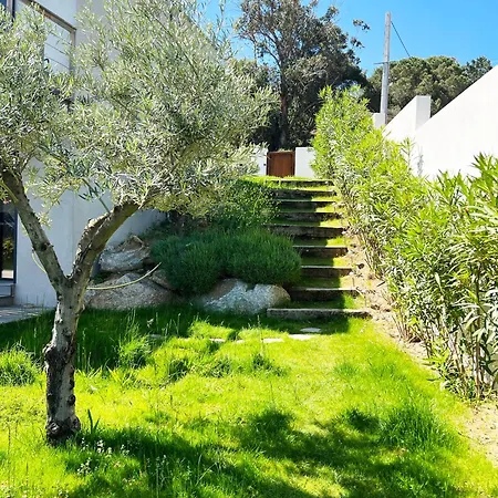 Avec Jardin Et Piscine Villa Calvi (Corsica)