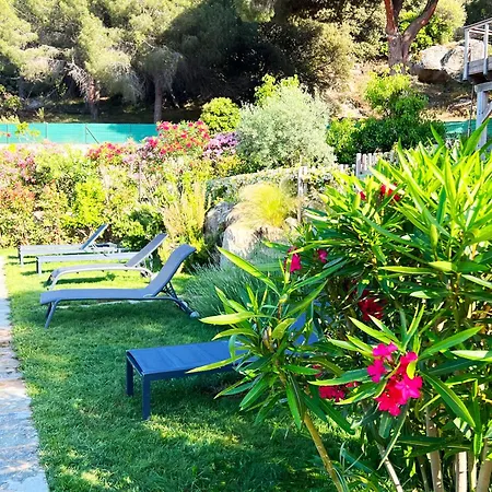 Avec Jardin Et Piscine * كالفي