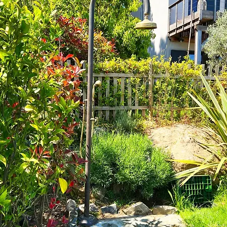 Avec Jardin Et Piscine