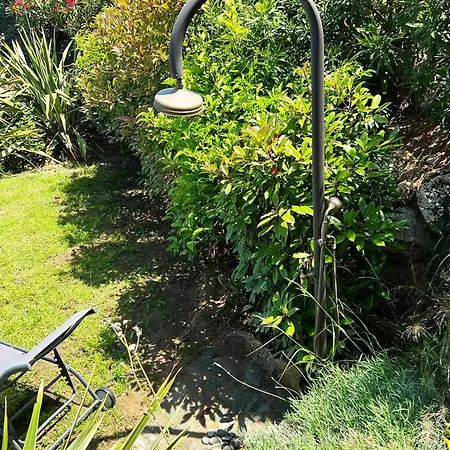 Avec Jardin Et Piscine Calvi (Corsica)