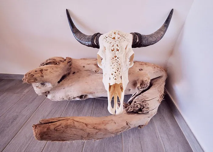 Avec Jardin Et Piscine Calvi (Corsica)