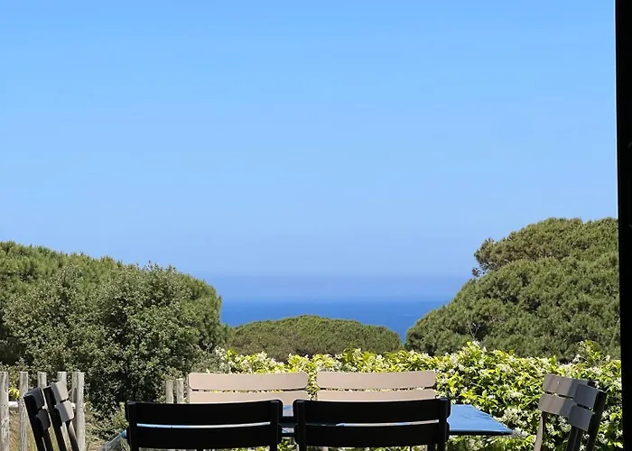 Villa Avec Jardin Et Piscine