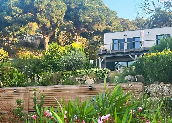 Avec Jardin Et Piscine