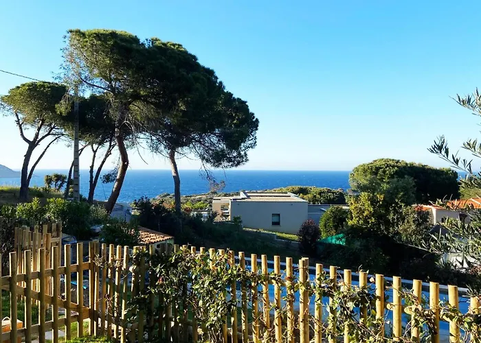 Avec Jardin Et Piscine * Calvi (Corsica)