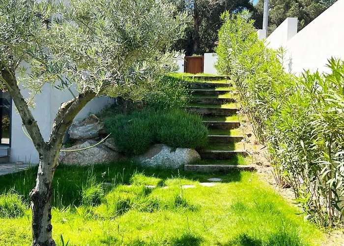 Avec Jardin Et Piscine 别墅 卡尔维