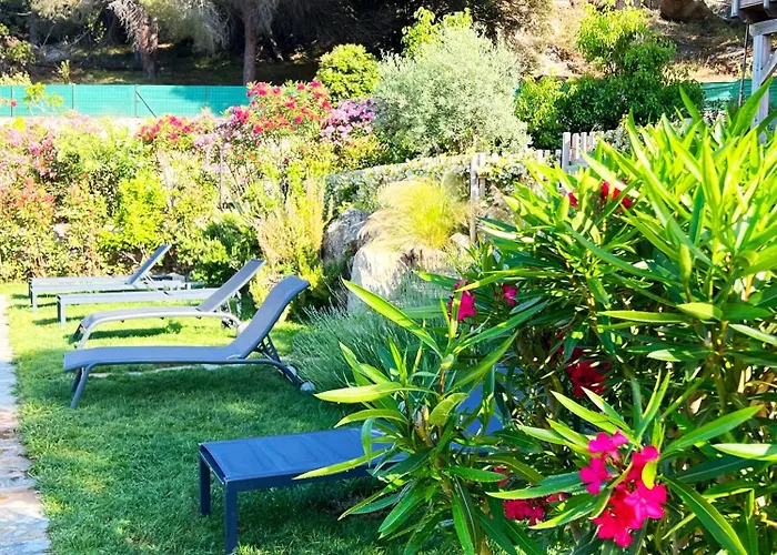 Avec Jardin Et Piscine * Calvi (Corsica)