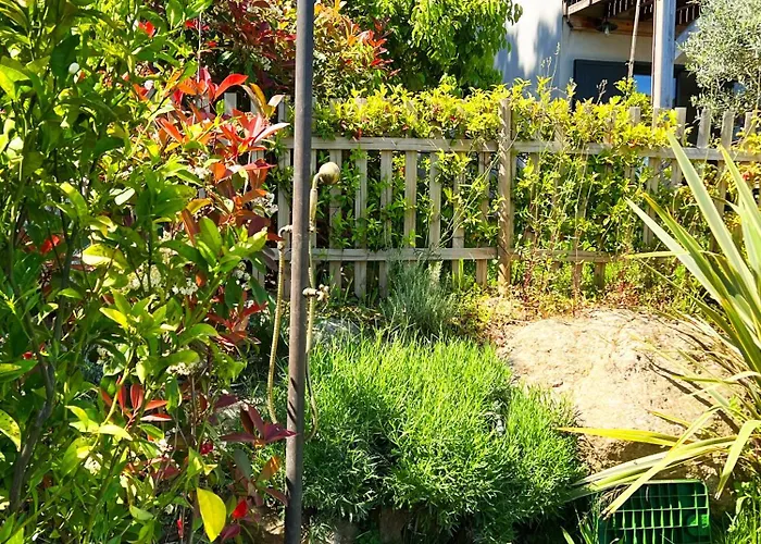 Avec Jardin Et Piscine