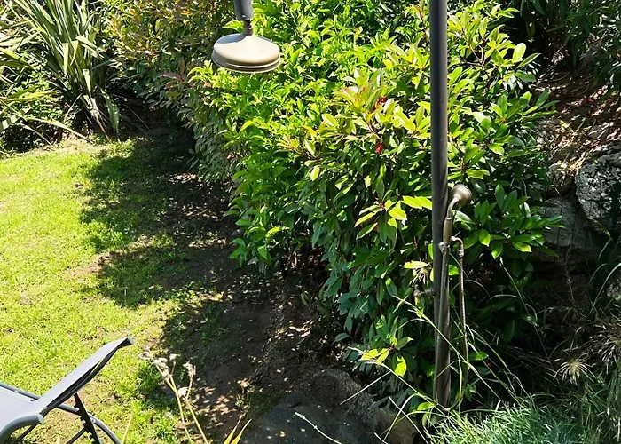 Avec Jardin Et Piscine 卡尔维